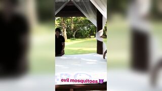 Lucky Evil Mosquitoes (GIF)