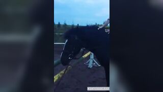 On a Horse (GIF)