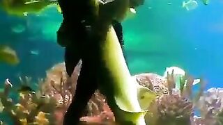 [50/50] Men getting eaten alive by shark (NSFL) - Man dancing with shark (SFW)