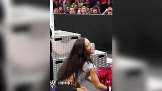AJ Lee giving the fans what they paid for