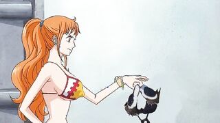 One Piece Nami Ecchi Wishlist Punk Hazard Jiggle