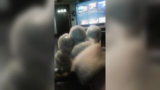 New paws I won in a giveaway!