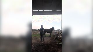 [F] practicing w/single tail in the barn and one of the horses decides to hang out with me